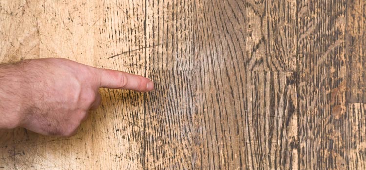 Wood Door Scratch Repair in Fort Lauderdale
